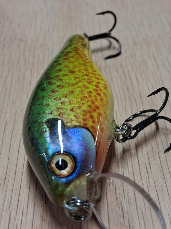 display fishing lures while the sturdy construction Model:CERSW20000-P TIKTOK SHOP After sharp fishing hook