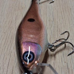 Könnte beinhalten: Ein Angelköder mit einem braunen und violetten Körper, mit einem realistischen Auge und zwei Drillingshaken. Der Köder hat eine transparente Kunststofflippe und einen schwarzen Punkt auf der Oberseite. Der Köder soll Fische anlocken.