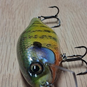 May include: A colorful fishing lure with a detailed design, featuring a realistic fish eye and a clear plastic lip. The lure has a combination of green, yellow, blue, and orange hues, with two black treble hooks.