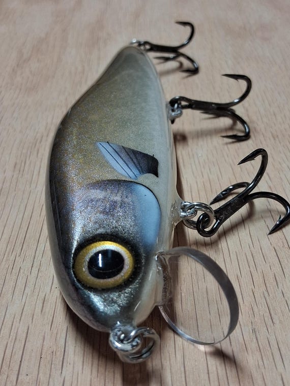 6 1/4" 2.5oz Premium Handmade Wooden Jerk Bait, Crankbait Fishing Lure: Monster Mullet - Etsy 6 1/4" 2.5oz Premium Handmade Wooden Jerk Bait, Crankbait Fishing Lure: Monster Mullet - Etsy