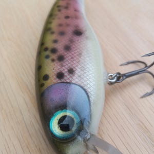 5 1/4&quot; Premium Handmade Wooden Jerk/Crank Bait (Rainbow Trout Pattern)