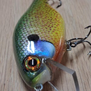 May include: A fishing lure with a gradient body transitioning from green to yellow and orange, featuring a textured scale pattern, a prominent black spot, a large iridescent blue patch, a realistic orange eye, and a clear plastic diving lip.