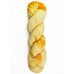 40% Off! Araucania Huasco Color Hand-Painted - Torres del Paine (Color #3007)