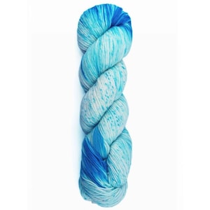 40% Off! Araucania Huasco Color Hand-Painted - Temuco (Color #3005)