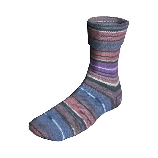 25% Off Sale - Berroco Sox - Flowerdale (Color #14109)