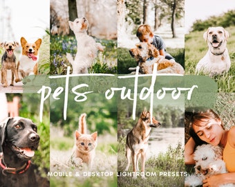 10 PETS OUTDOOR Mobiele en desktop Lightroom-voorinstellingen, Hond Kat Fotobewerkingsfilter voor Instagram, Dierenvoorinstellingen voor bloggers, Heldere voorinstellingen