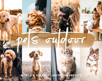 10 PETS OUTDOOR Mobiele en desktop Lightroom-voorinstellingen, Hond Kat Fotobewerkingsfilter voor Instagram, Dierenvoorinstellingen voor bloggers, Heldere voorinstellingen