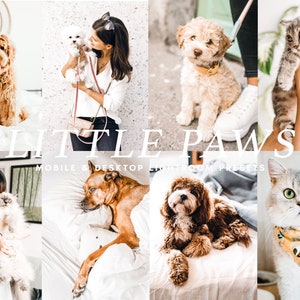 10 PETS Lightroom Presets, Mobile & Desktop Presets for Animals, Dog Cat Photo Editing Filter for Instagram, Animal and Pet Blogger Presets