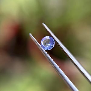 May include: A close-up of a blue gemstone held by tweezers against a blurred green background.
