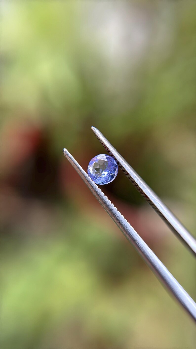 May include: A close-up of a blue gemstone held by tweezers against a blurred green background.
