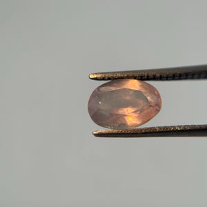 May include: An oval-shaped, peach-colored gemstone is held by a pair of tweezers. The gem has a translucent quality, with hints of orange and yellow light reflecting within its facets. The tweezers are dark, contrasting with the gem.