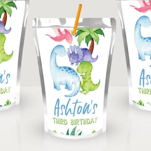 Dinosaur Capri Sun Labels Template Printable TRex Jurassic Dinosaurs Juice Pouch Boy Birthday Party Decor Digital Download Corjl 011