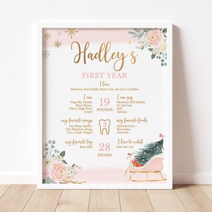 Winter Onederland First Birthday Milestone Sign Template, Printable Christmas Onederful Girl 1st Birthday Party Decor,  Download Corjl 012