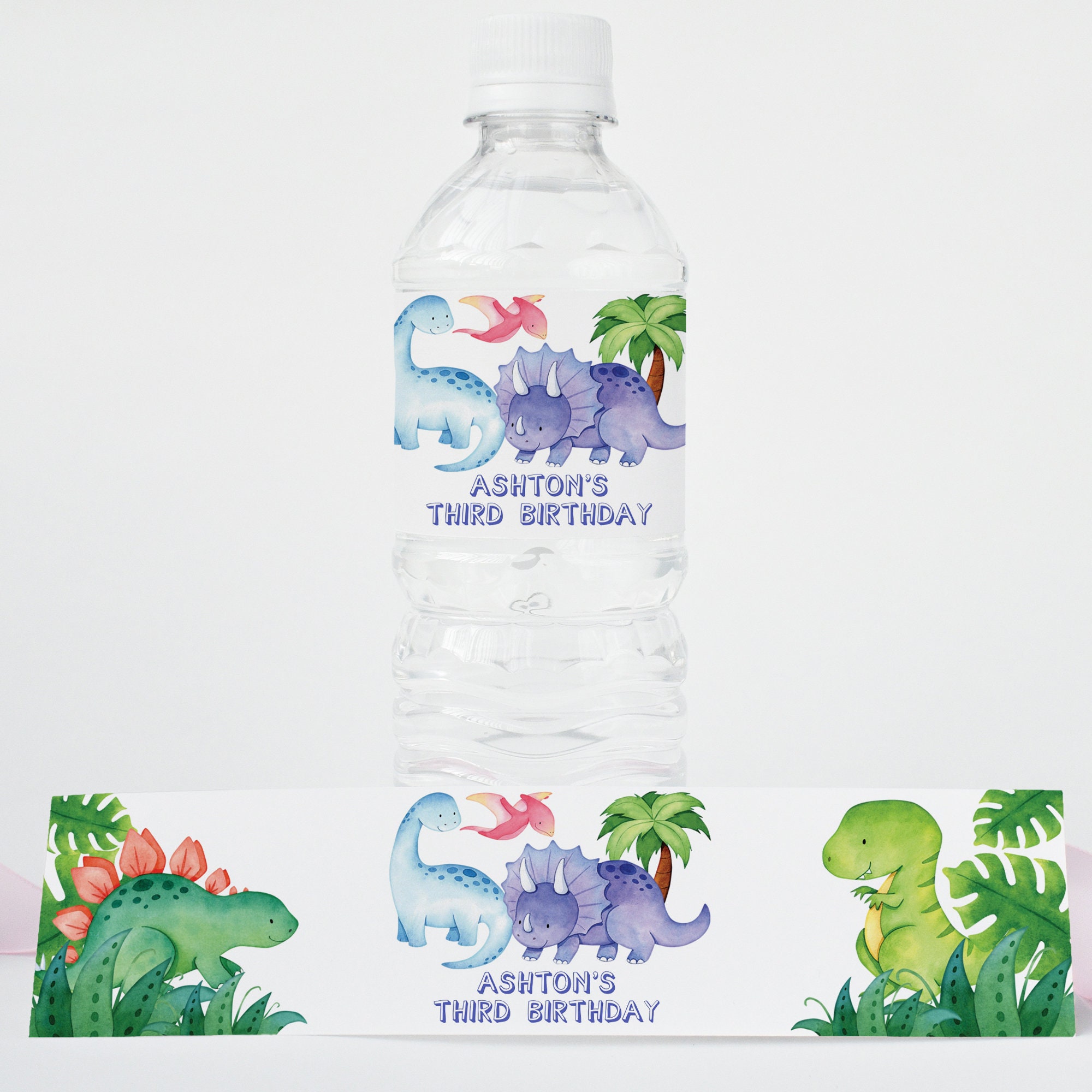 Editable Dinosaur Water Bottle Label Template Printable - Etsy