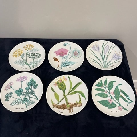 6 Vintage Horchow made in Japan Plates Botanical Herb Seed LunchDessert Plates