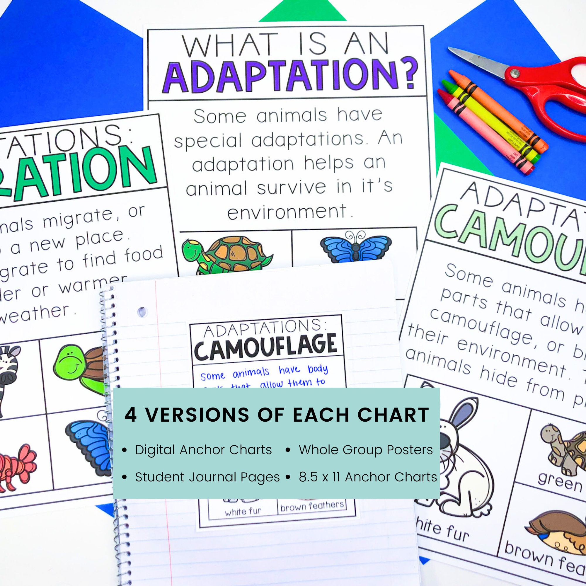 Animal Adaptation Anchor Charts for First and Second Grade - Etsy
