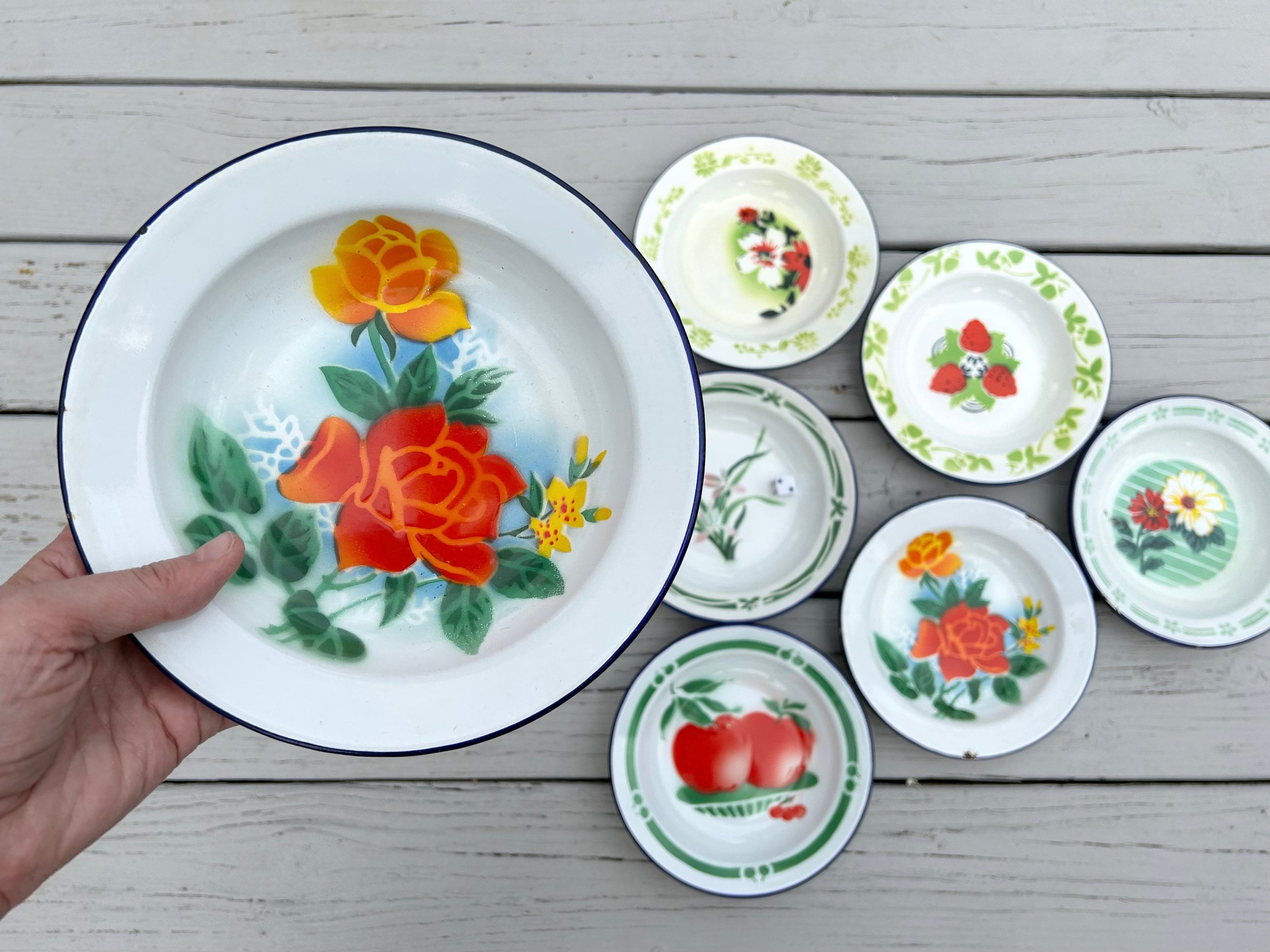 Vintage Set of 11 enamel soup plates Bumper Harvest Butterfly Brand Set of 11 enamel soup plates Enamel bowls