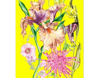 Botanische kunst, handgetekende kunst, bloemen, galeriewand, kunstprint, heldere eclectische kunstprint, fysieke print, wanddecoratie