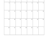 2025 Planner/ Calendar