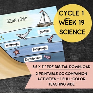 May include: A colorful educational chart illustrating the different ocean zones, including the epipelagic, mesopelagic, bathypelagic, and abyssopelagic zones. The chart features various marine animals, such as a whale, a squid, a starfish, and a fish with a lure. The chart is titled "Ocean Zones" and is part of a Cycle 1, Week 19 Science curriculum. The chart is available as an 8.5 x 11 inch PDF digital download, along with two printable companion activities and a full-color teaching aide.