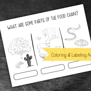 May include: Black and white educational worksheet titled "What are some parts of the food chain?" featuring illustrations of a tree, cactus, bear, pig, worm, and mushroom. Includes a "Coloring & Labeling Activity" banner.