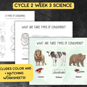 May include: Educational worksheets for science lessons. The image shows three worksheets with the text "3 Types of Consumers" and "What are Three Types of Consumers?" The worksheets include illustrations of animals and food types. The text "Includes Color and + Matching Worksheets!" is also visible.