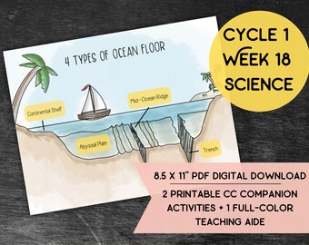 Classical Conversations Cycle 1 Week 18 Science Handout | Types of Ocean Floor Homeschool Companion | Educational Worksheet