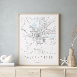 Tallahassee, Floryda, cyfrowa mapa artystyczna, plakat cyfrowy, niebiesko-biała mapa miasta, unikatowa, mapa na prezent, mapa współczesna