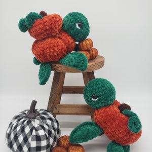 2in1 Pumpkin Turtle Pattern Crochet PDF Download Beginner Friendly Amigurumi image 4