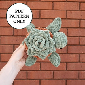 Succulent Plant Turtle Pattern Crochet PDF Download Beginner Friendly Amigurumi image 2