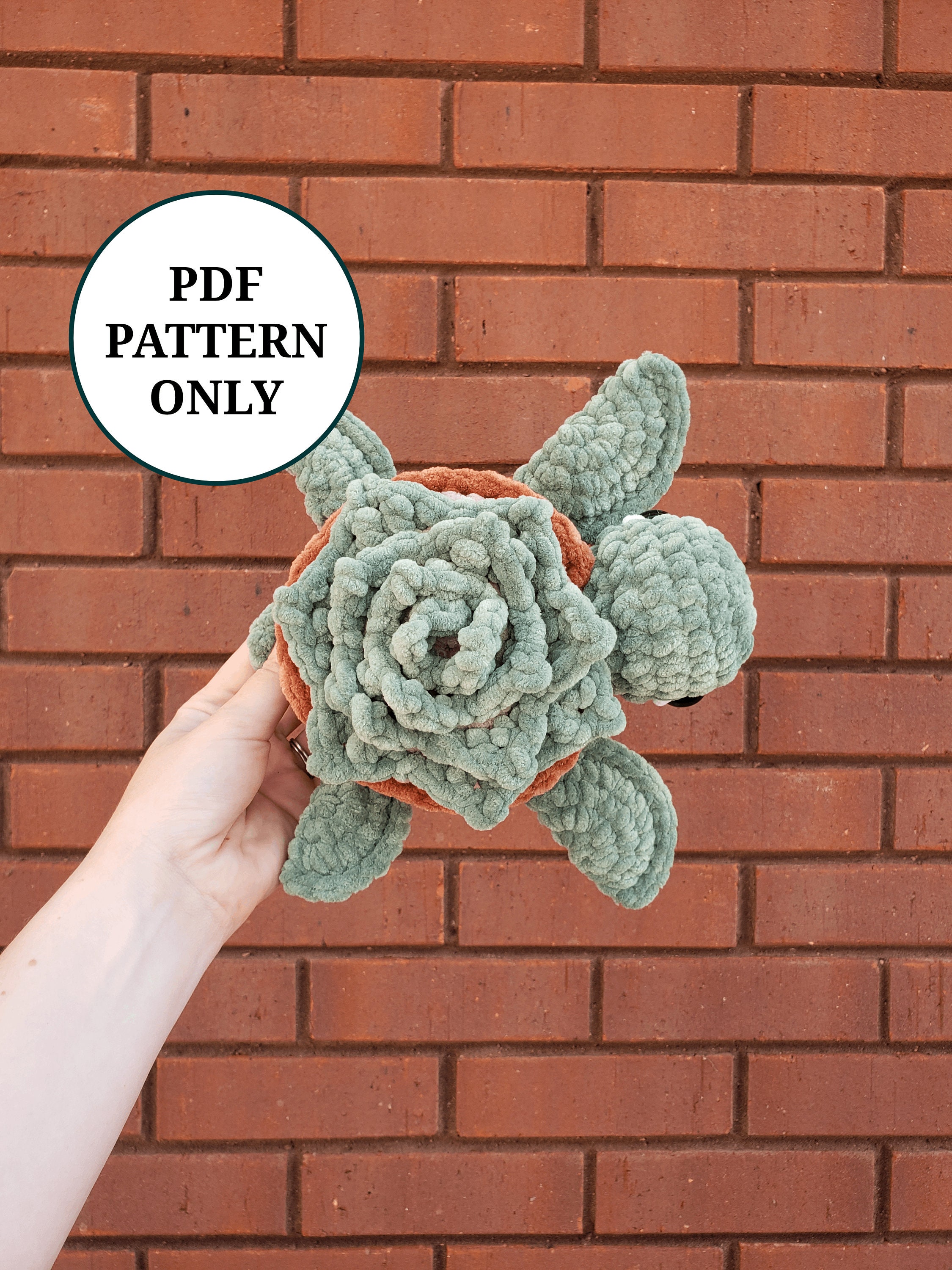 Succulent Plant Turtle Pattern Crochet PDF Download Beginner Friendly  Amigurumi - Etsy
