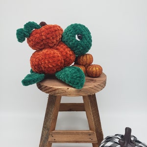 2in1 Pumpkin Turtle Pattern Crochet PDF Download Beginner Friendly Amigurumi image 5