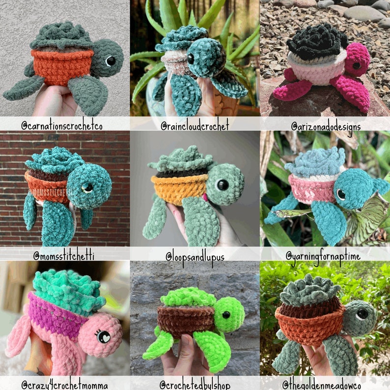 Succulent Plant Turtle Pattern Crochet PDF Download Beginner Friendly Amigurumi image 3