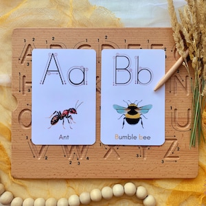 Nature Alphabet Flash Cards, ABC Flashcards, Alphabet Cards Printable, Preschool Homeschool