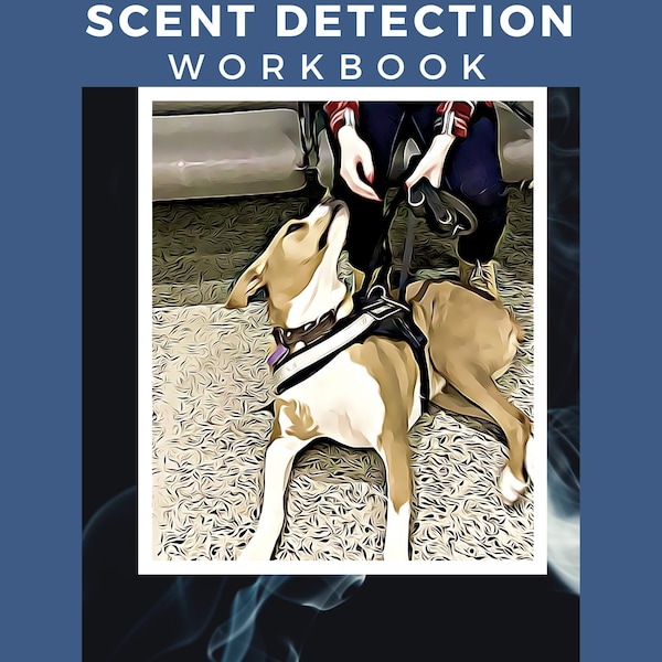 Advanced Search Concepts for Scent Detection Workbook