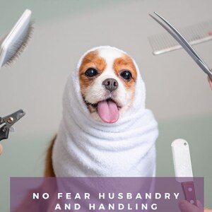 May include: A Cavalier King Charles Spaniel wrapped in a white towel, with its tongue sticking out. The image includes grooming tools and the text "PLEASE TOUCH ME" at the top and "NO FEAR HUSBANDRY AND HANDLING" and "JAMIE ROBINSON" at the bottom.