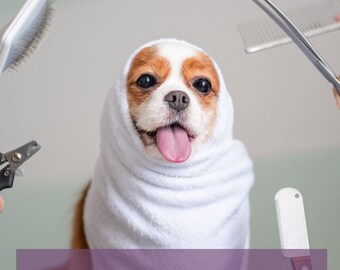 Please Touch Me: Husbandry and Handling for Your Dog