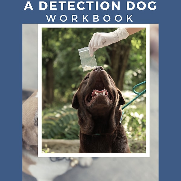 Troubleshooting Your Detection Dog Workbook