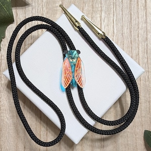 May include: A black bolo tie with a decorative cicada pendant. The cicada is detailed with blue, orange, and green. The tie has gold-tone tips and a black braided cord. The pendant is set against a white square.