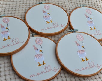 Goose Baby Monthly Milestone Embroidery Hoops, Embroidered Baby Milestone Hoops, Baby Monthly Milestone Goose Hoops, Monthly Baby Photo Prop