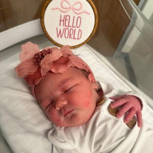 Hello World, Hello World Embroidered Hoop, Baby Announcement, Baby Girl Birth Announcement Sign, Embroidery Hoop, Birth Announcement Sign
