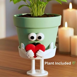 Face Planter with Plant Included & Drainage – Cute Indoor Plant Pot for desk – Romantic Gift Planter – Houseplant Planter– Pot Guy “Be Mine”