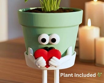 Face Planter with Plant Included & Drainage – Cute Indoor Plant Pot for desk – Romantic Gift Planter – Houseplant Planter– Pot Guy “Be Mine”