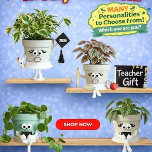 May include: An advertisement for decorative plant pots with cartoon faces. The pots hold various plants and are displayed on wooden shelves. Text includes "Great Gift for Any Occasion!" and "Plant Included!"