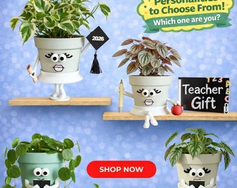 Face Planter with Plant Included & Drainage - Cute Pot  - Indoor Gardening Plant Pot - Planter for Desk or Shelves - Unique Gift - Pot Girl