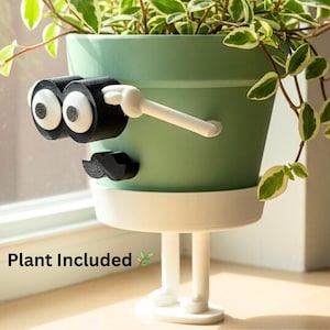 Face Planter with Plant Included & Drainage – Desk Plant Pot – Houseplant Planter - Office Decor - Quirky Planter - Pot Guy “Just Checking”