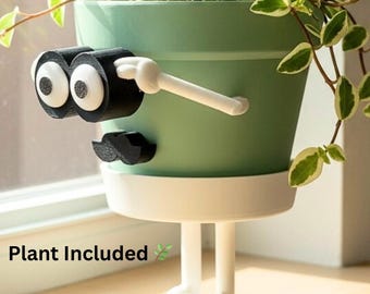 Face Planter with Plant Included & Drainage – Desk Plant Pot – Houseplant Planter - Office Decor - Quirky Planter - Pot Guy “Just Checking”