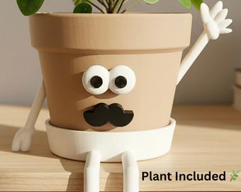 Face Planter with Plant Included & Drainage – Funny Indoor Plant Pot – Cute Desk Planter – Houseplant Pot- Plant Lover Gift  - Pot Guy “Hey”