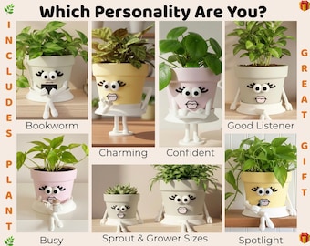 Cute Face Planter with Plant Included & Drainage  - Funny Face Planter Pot - Plant Lover Gift - Houseplant Pot Gift - Pot Guy Pot Girl