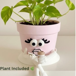 Cute Face Planter with Plant Included & Drainage  - Coffee Planter — Coffee Shop Decor - Houseplant Planter Home Decor – Pot Girl “One Sec”